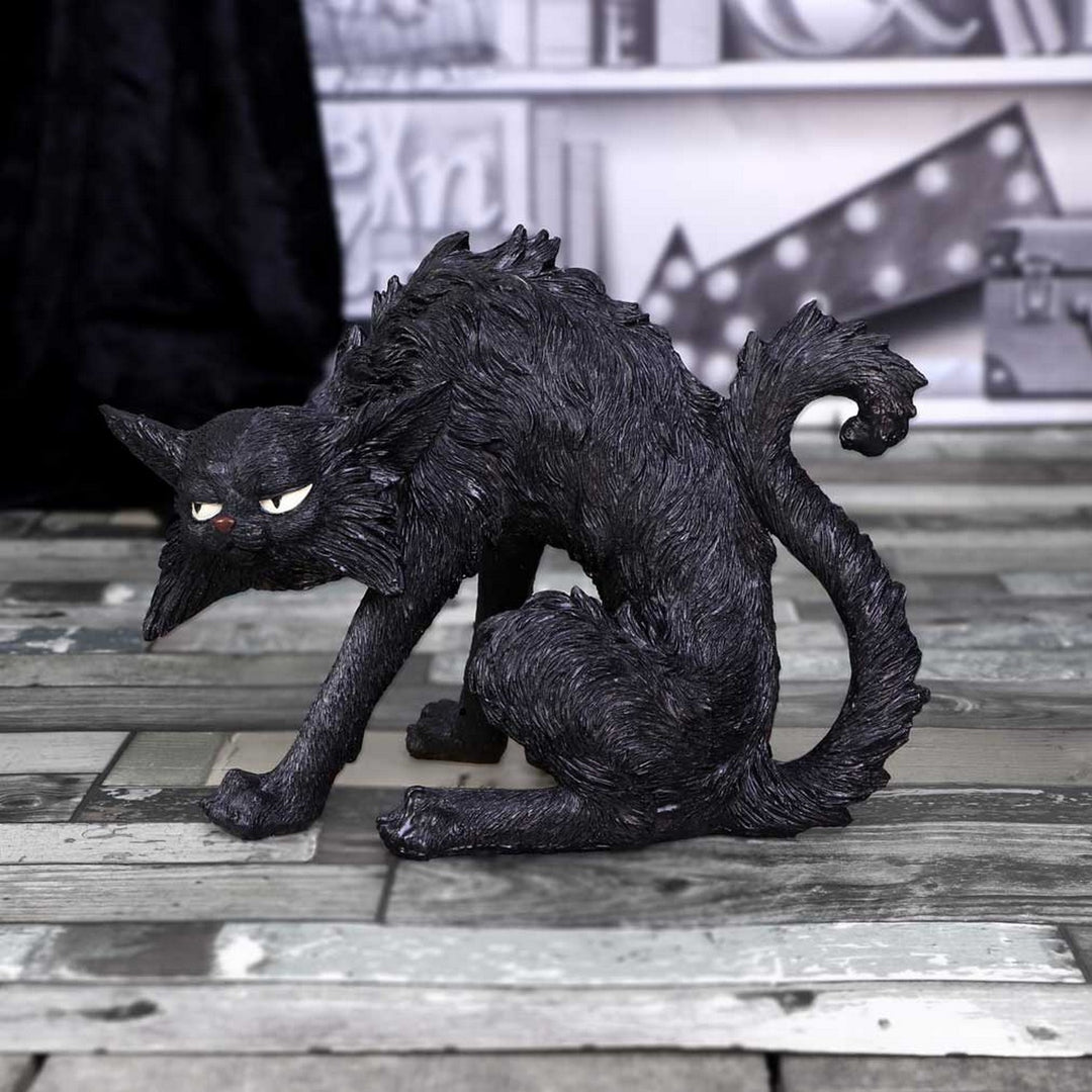 Spite (Small) 16cm D5527T1