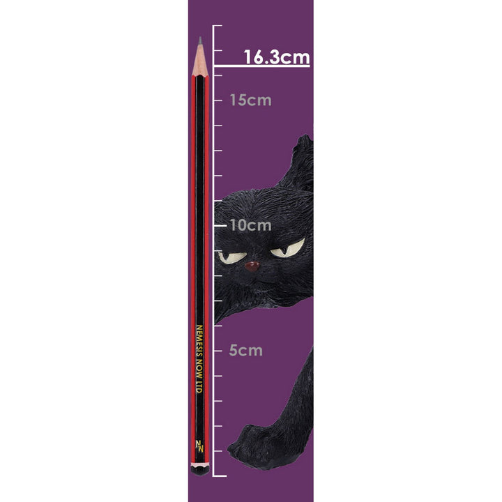 Spite (Small) 16cm D5527T1