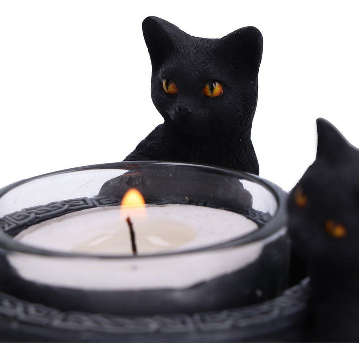 Familiar Trio Cat Tea Light Holder 10cm D5928V2