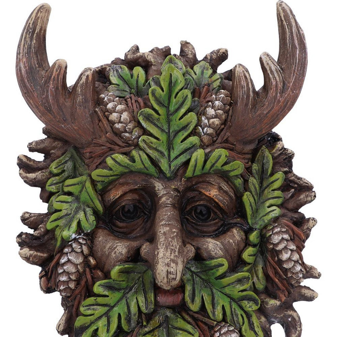 Bryn Wall Mounted Tree Spirit 20.8cm D5935V2