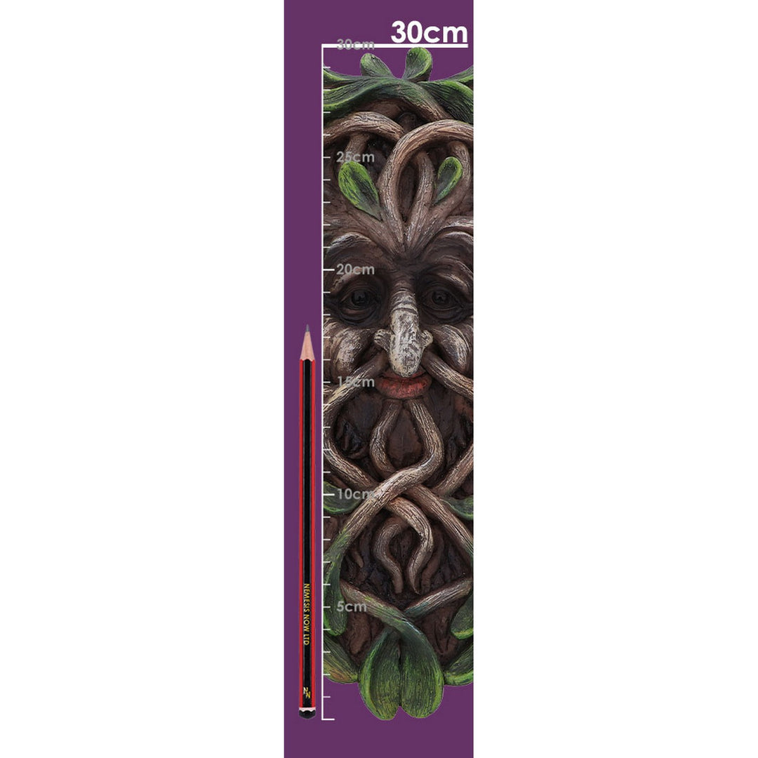 Tawnya Wall Mounted Tree Spirit 28.8cm D5936V2