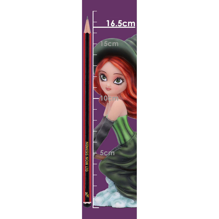Willow Witch Figurine 16cm D6295X3