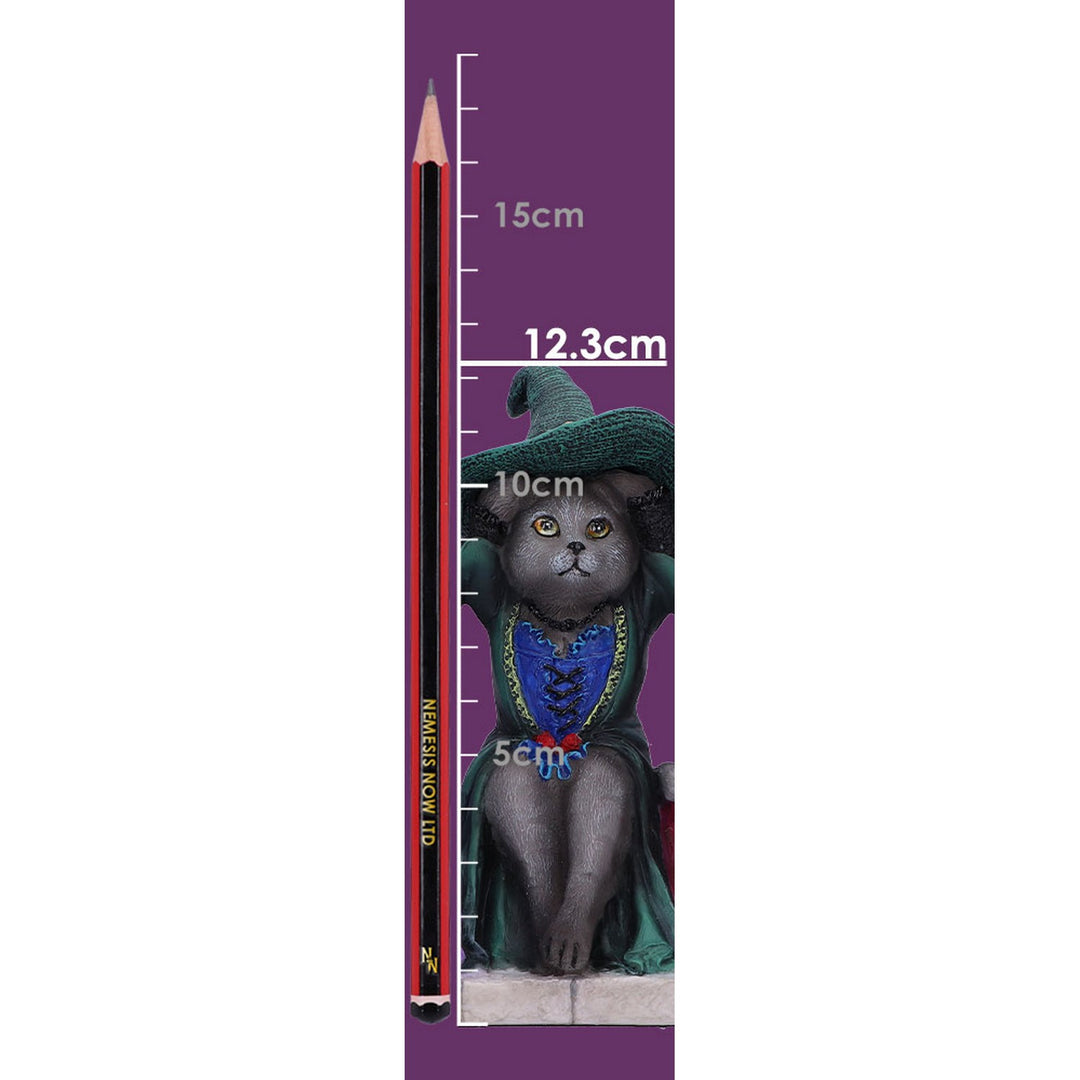 Three Wise Witchy Kittys Ornament D6580Y3