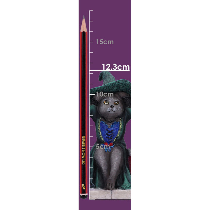 Three Wise Witchy Kittys Ornament D6580Y3