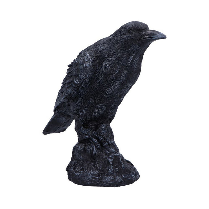 Raven Messenger Figurine 25cm D6688A24