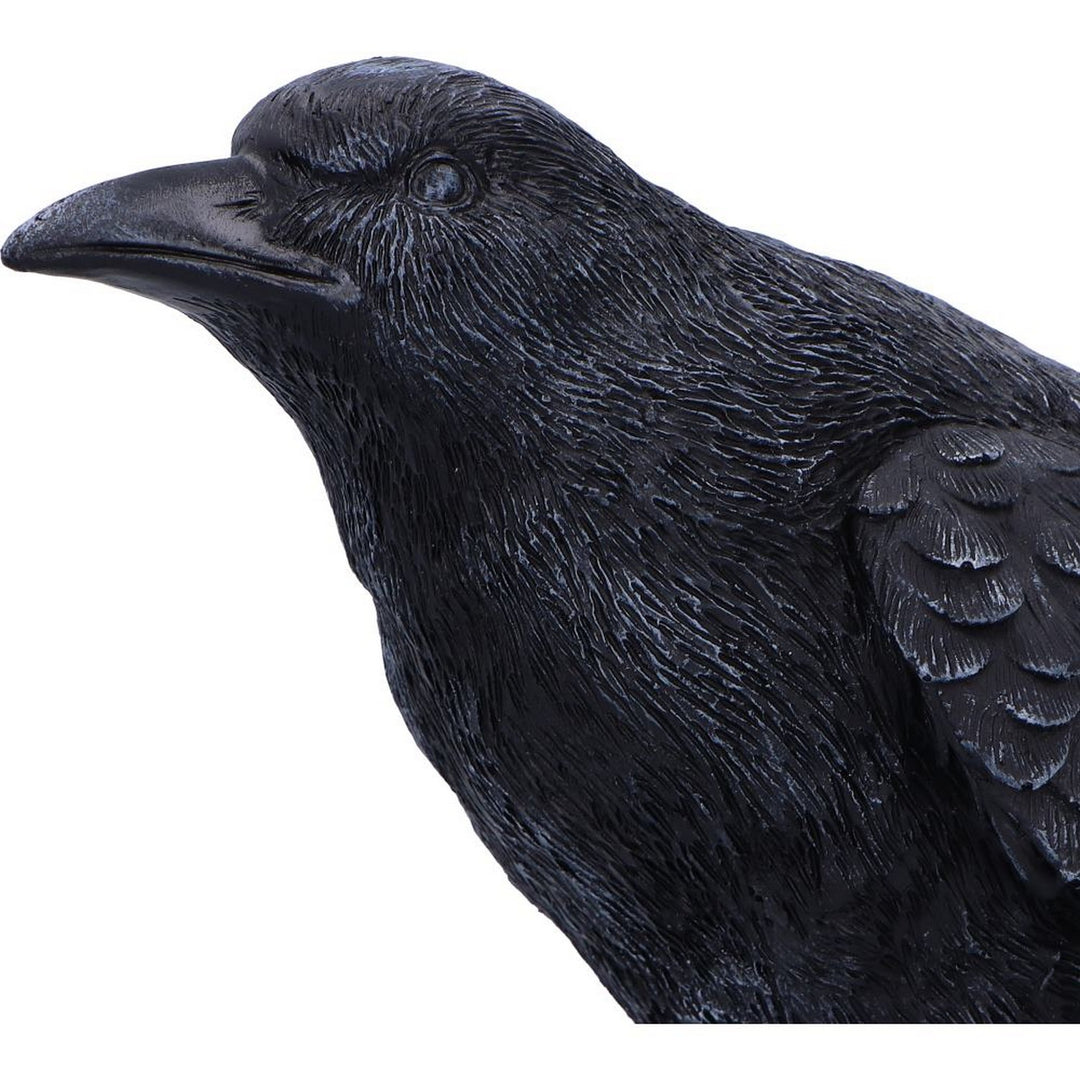 Raven Messenger Figurine 25cm D6688A24