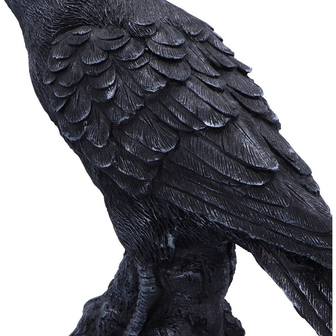 Raven Messenger Figurine 25cm D6688A24