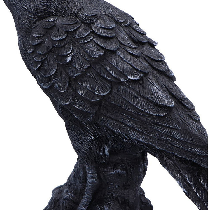 Raven Messenger Figurine 25cm D6688A24