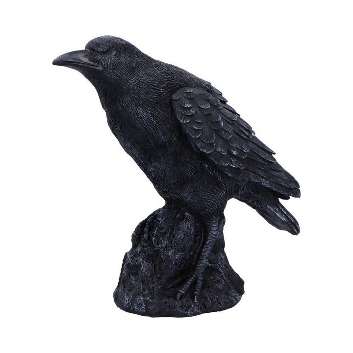 Raven Messenger Figurine 25cm D6688A24