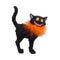 Furdinand Black Cat Feather Boa 23cm D6750A24