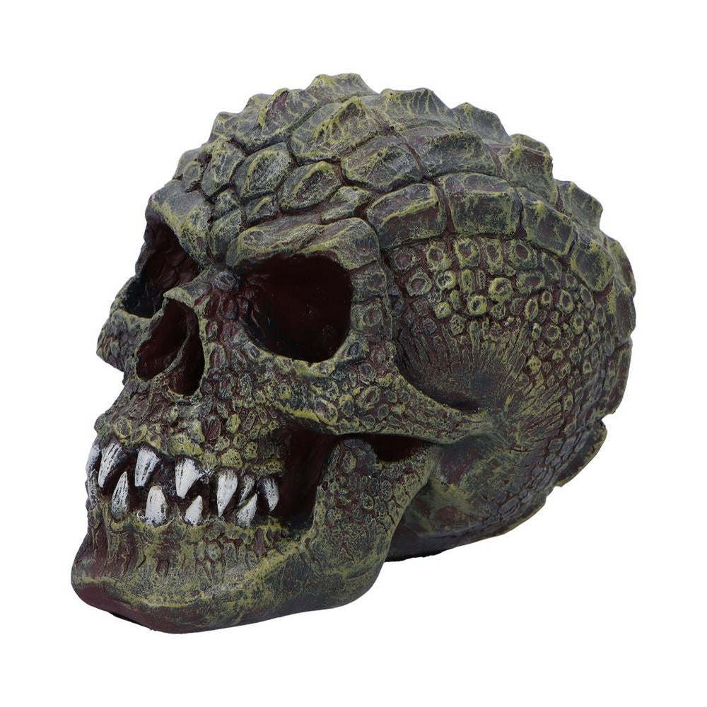 Reptillian Scale Skull 17cm D6775A24