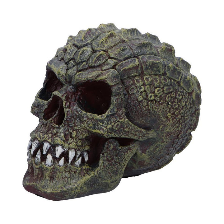 Reptillian Scale Skull 17cm D6775A24