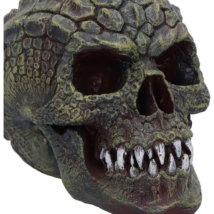 Reptillian Scale Skull 17cm D6775A24