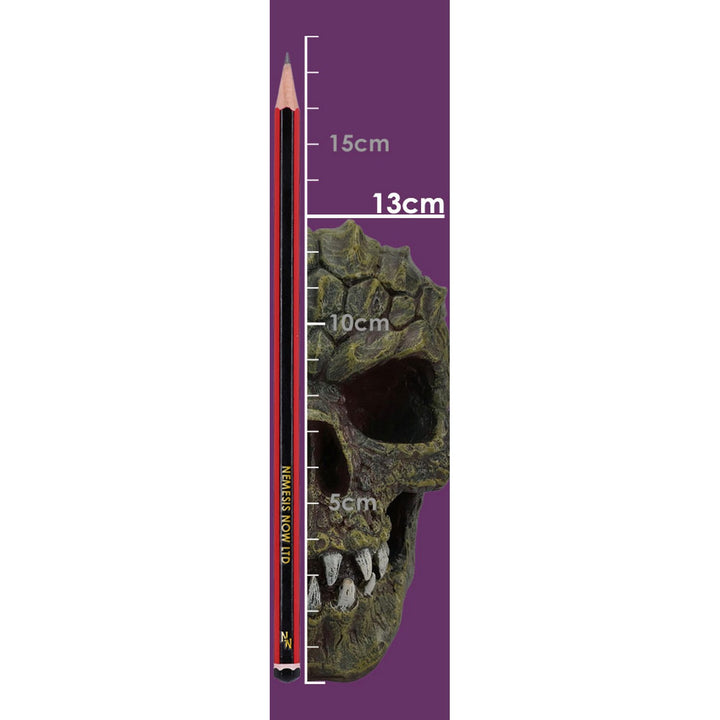 Reptillian Scale Skull 17cm D6775A24