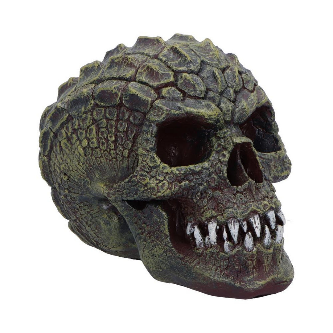 Reptillian Scale Skull 17cm D6775A24