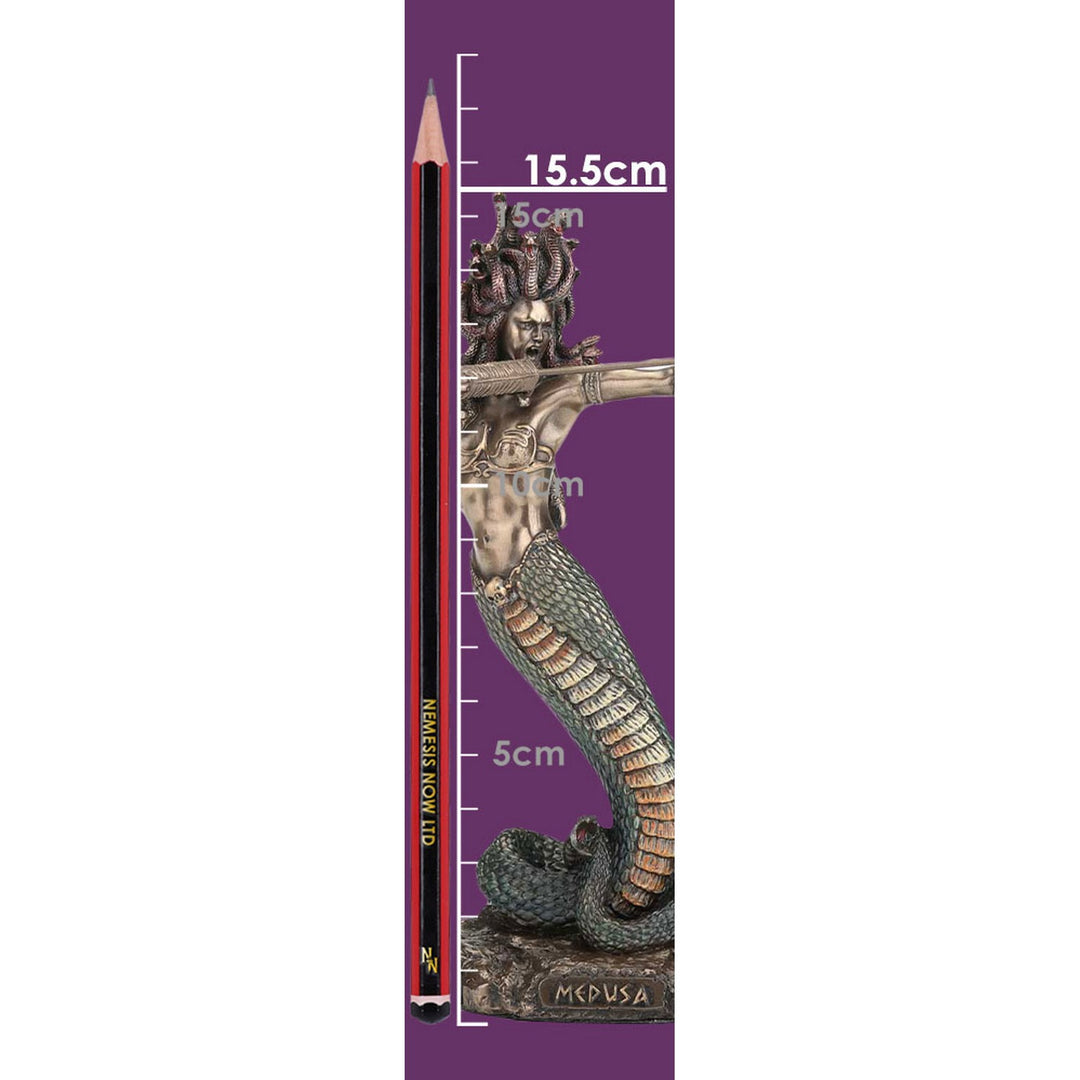Medusas Wrath Medium Bronze Figurine D6814B24