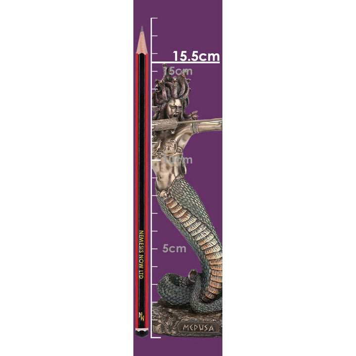Medusas Wrath Medium Bronze Figurine D6814B24