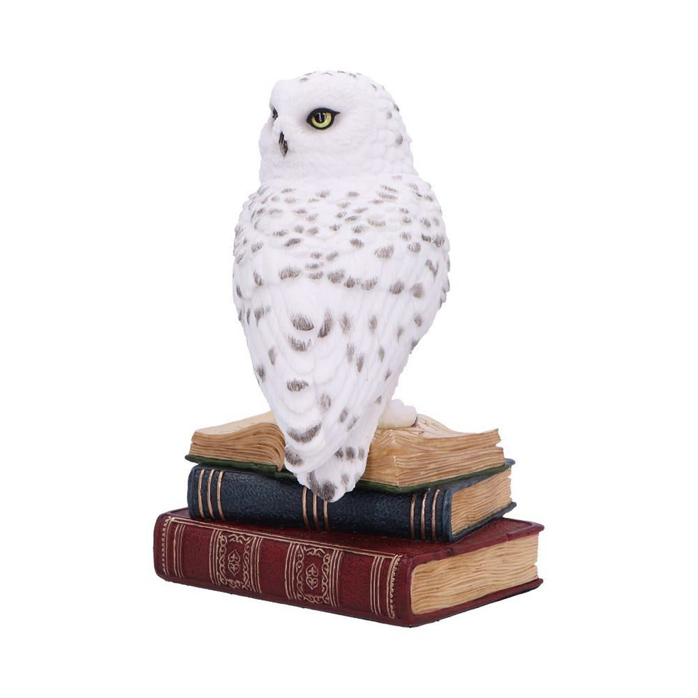 Library of Wisdom White Owl Figurine D6818B24