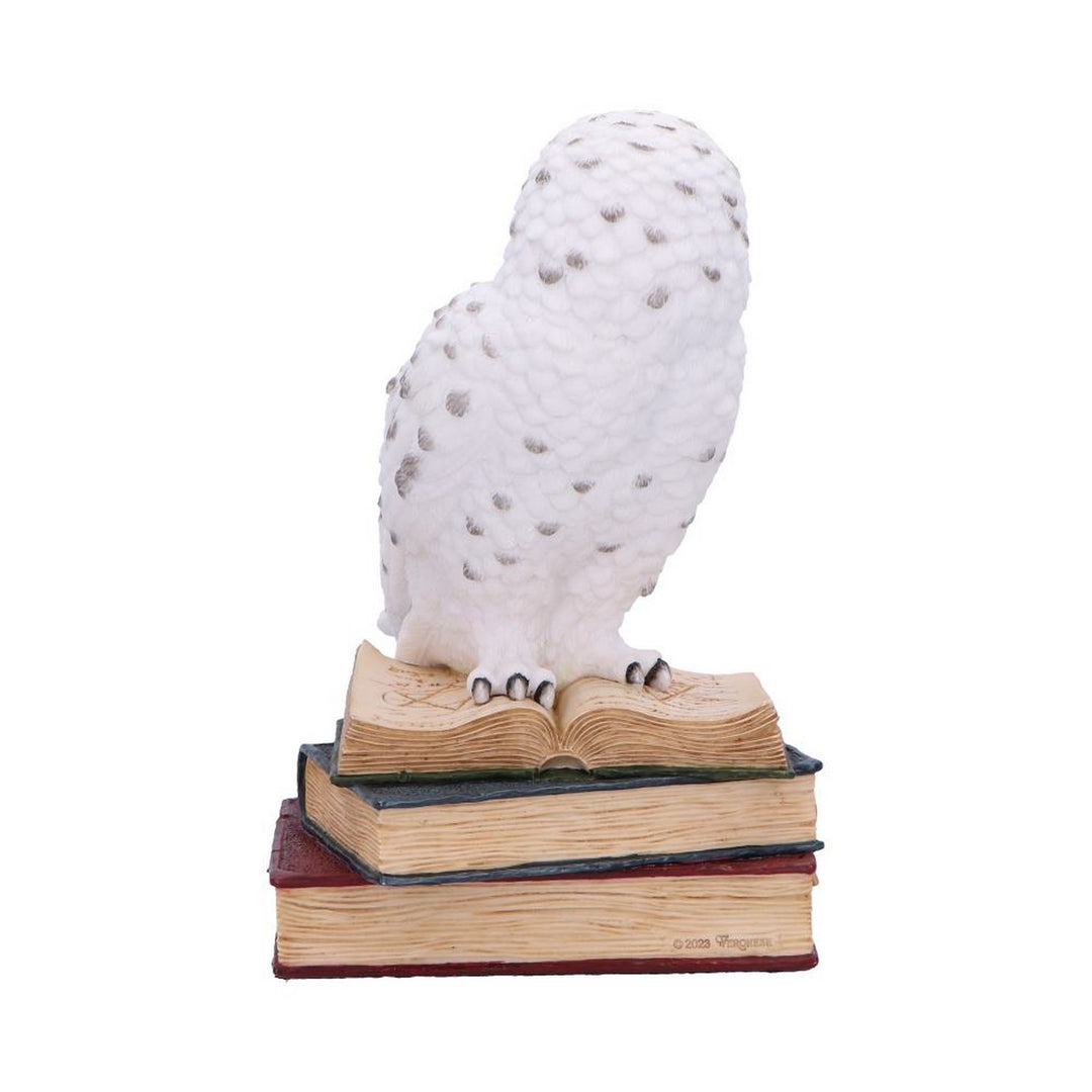 Library of Wisdom White Owl Figurine D6818B24