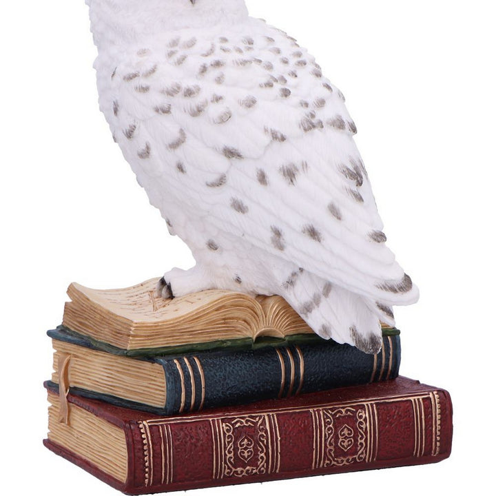 Library of Wisdom White Owl Figurine D6818B24