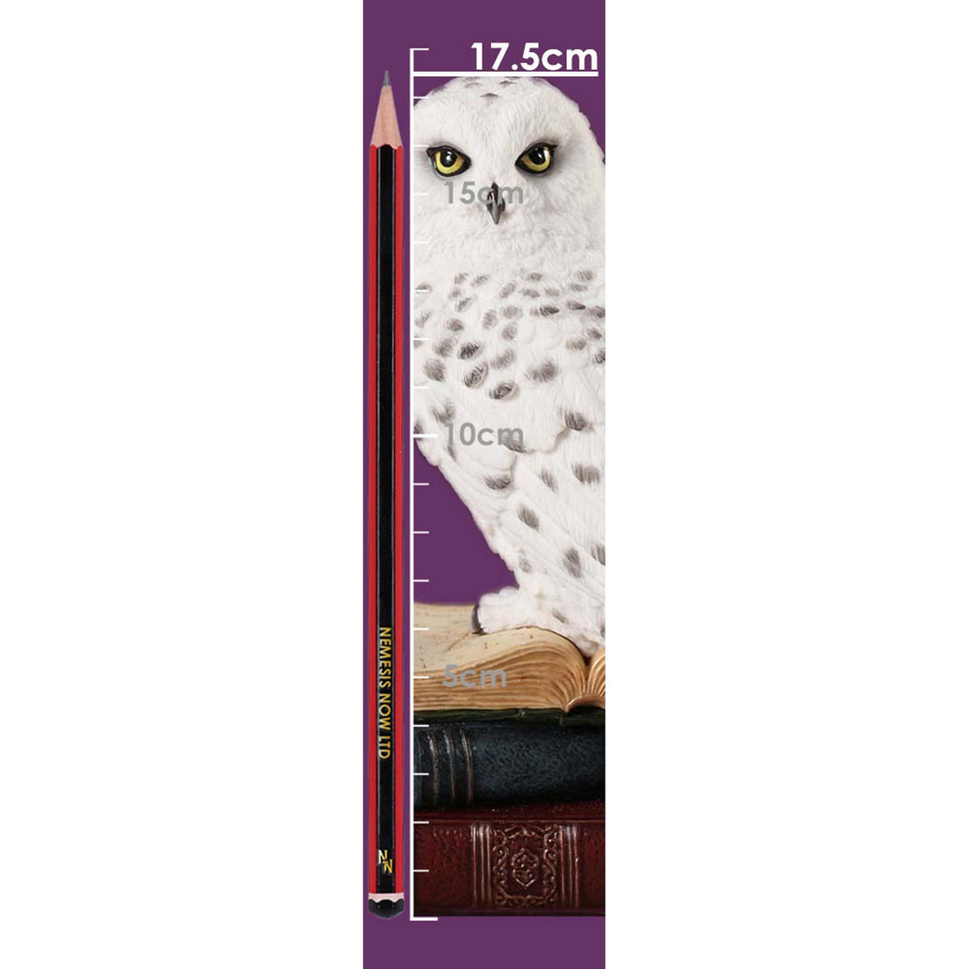Library of Wisdom White Owl Figurine D6818B24