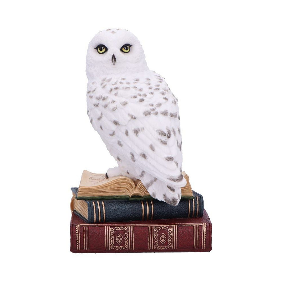 Library of Wisdom White Owl Figurine D6818B24