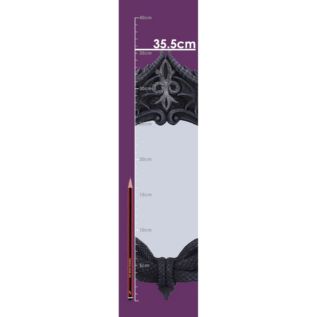 The Reflector Gothic Dragon Mirror D6845C24