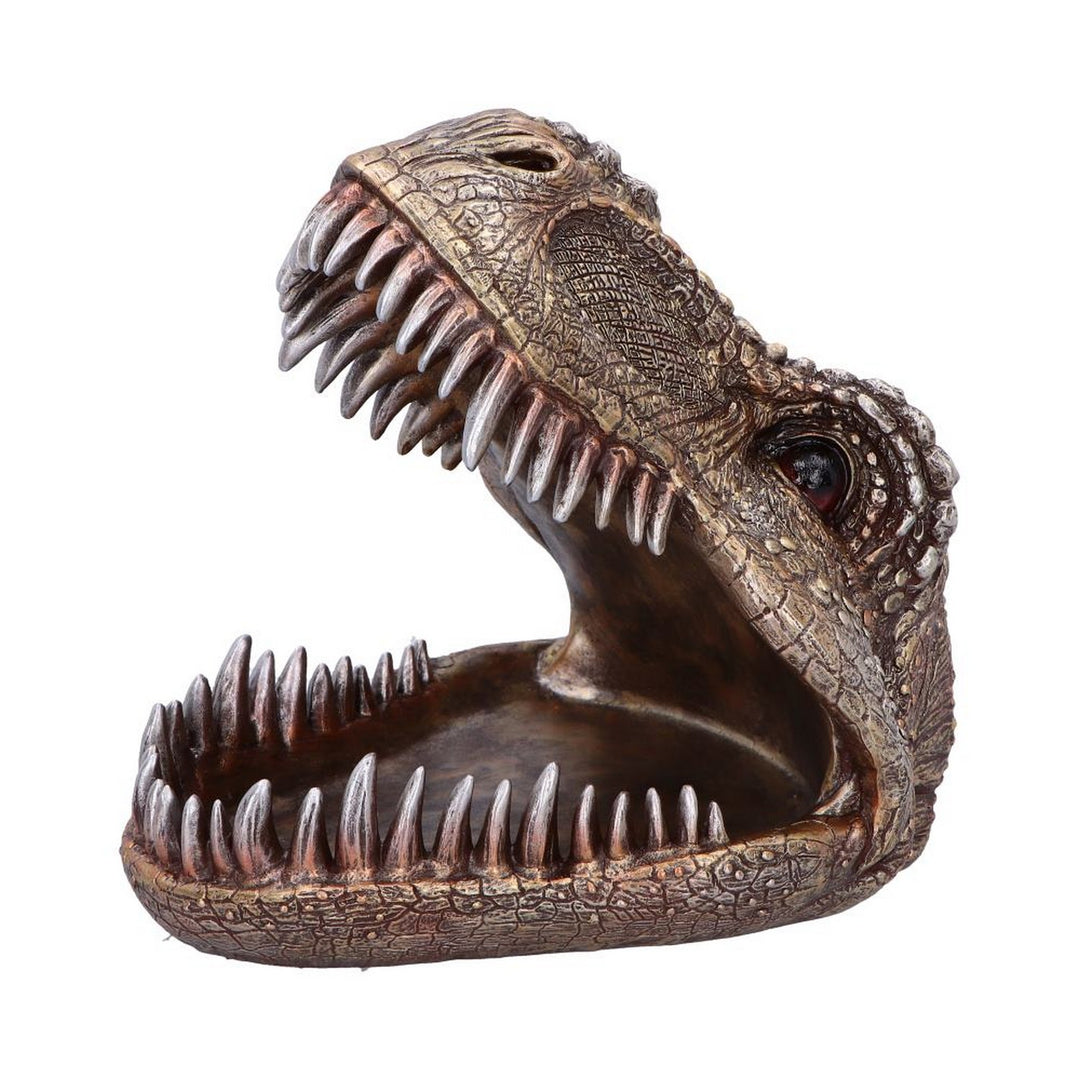 Metallic Tyrannosaurus Rex Head Trinket Dish D6867C24