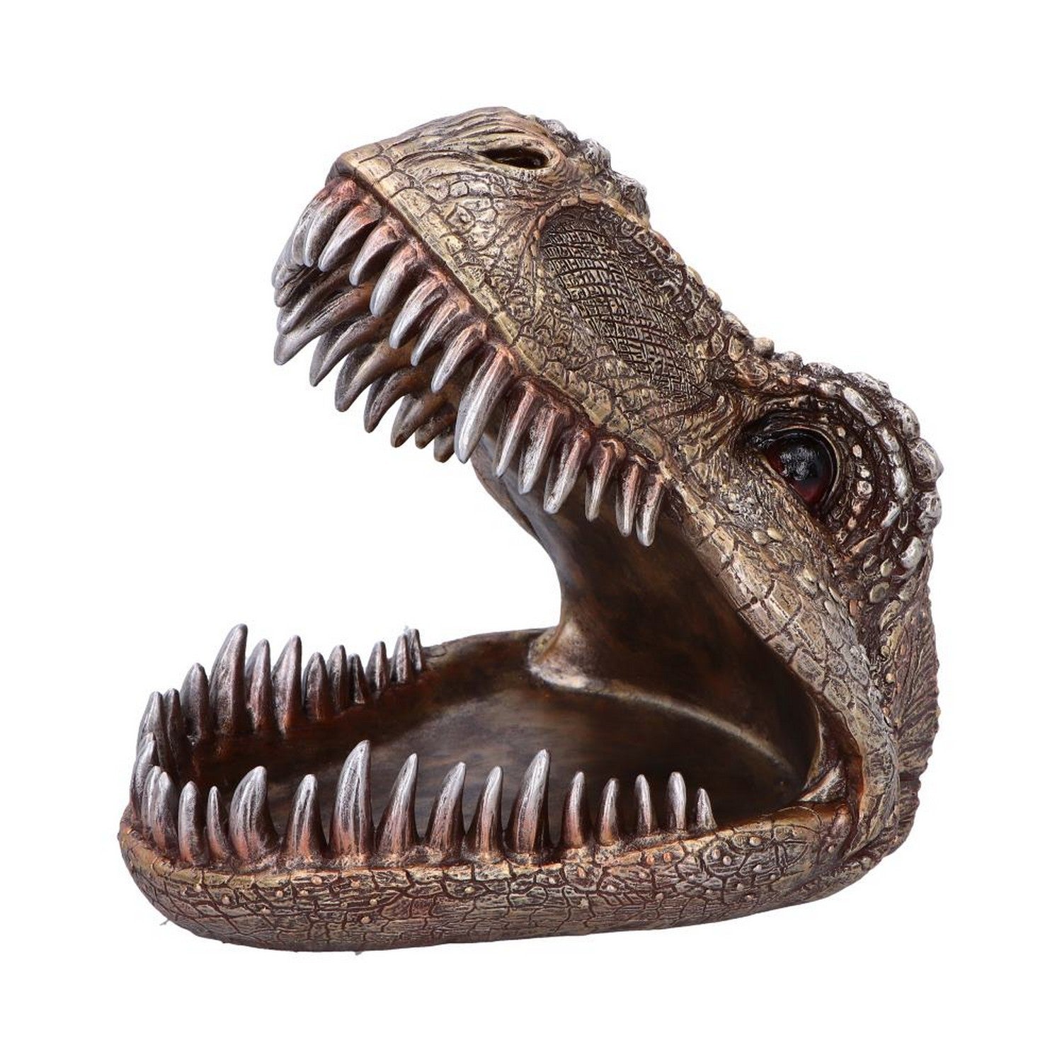 Metallic Tyrannosaurus Rex Head Trinket Dish D6867C24