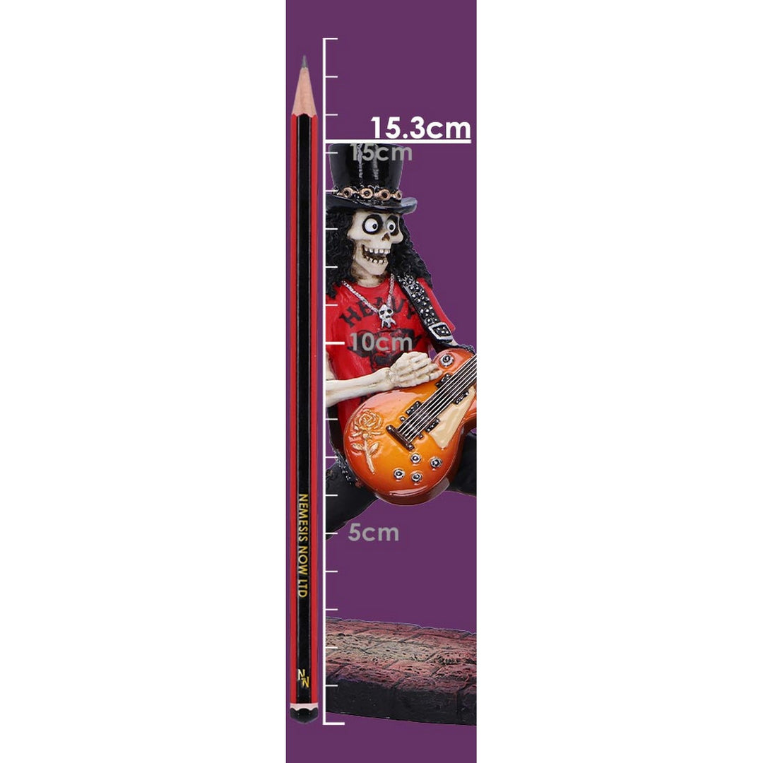 Skeletal Solo Rocking Skeleton Figurine D6889C24