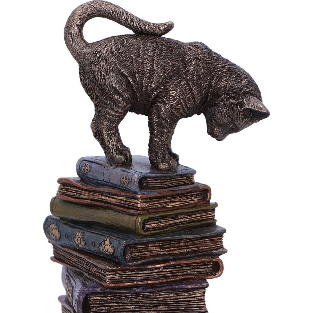 Feline Scholars Bronze Cat Ornament D6890C24