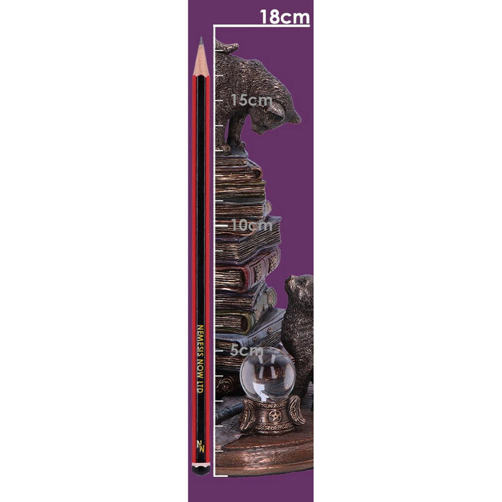 Feline Scholars Bronze Cat Ornament D6890C24