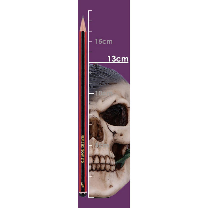 Soul Rose Ornamental Skull - Nemesis Now D6984A25