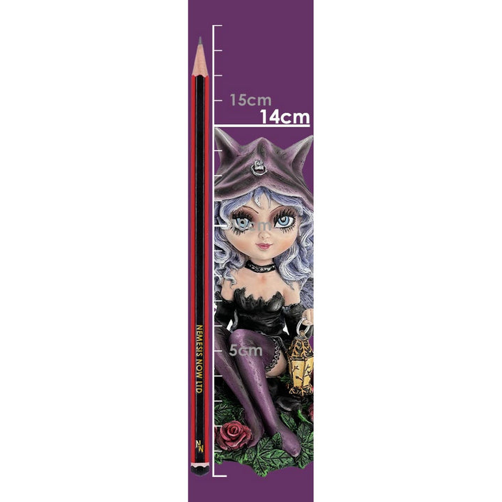 Midnight Fae Gothic Fairy with Cat Figurine D6987A25