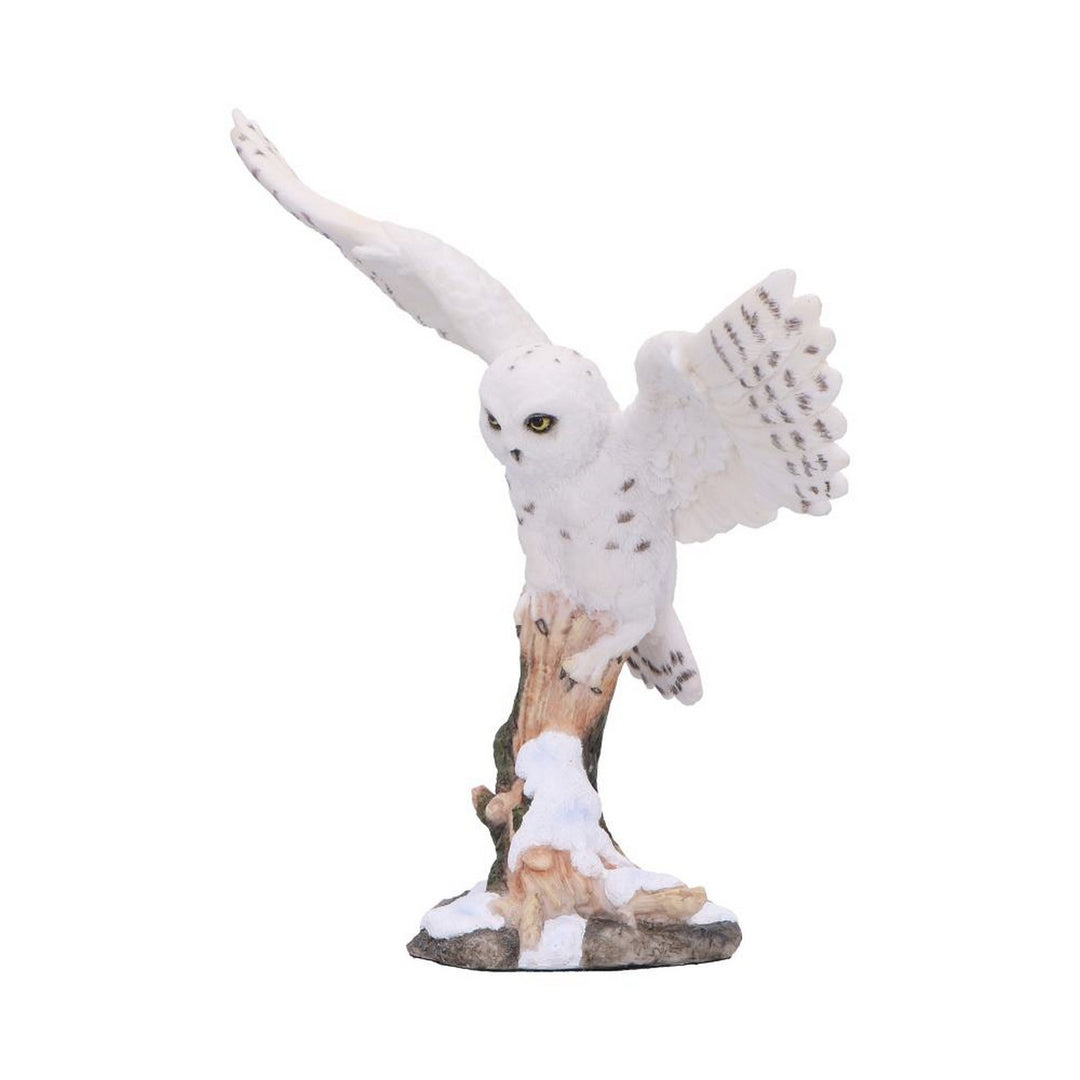 Snowfall - Majestic owl in winter scene D7000A25