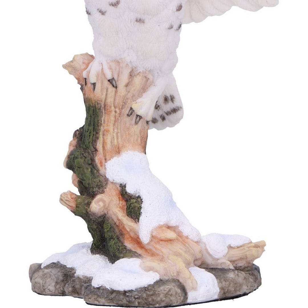 Snowfall - Majestic owl in winter scene D7000A25
