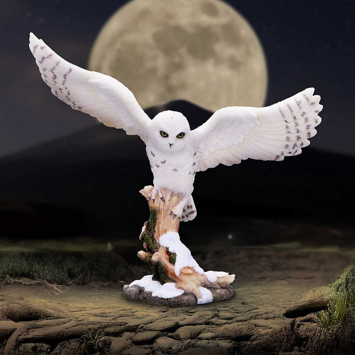Snowfall - Majestic owl in winter scene D7000A25