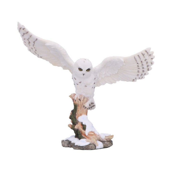 Snowfall - Majestic owl in winter scene D7000A25