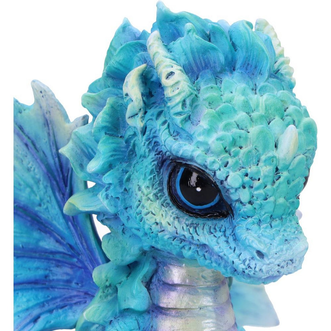 Blue Poppy Flower Dragon Figurine D7061M25