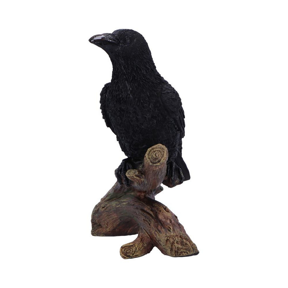 Ravens Perch Resin Figurine D7084B25