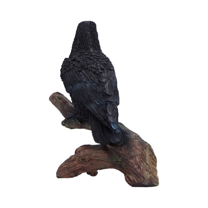 Ravens Perch Resin Figurine D7084B25
