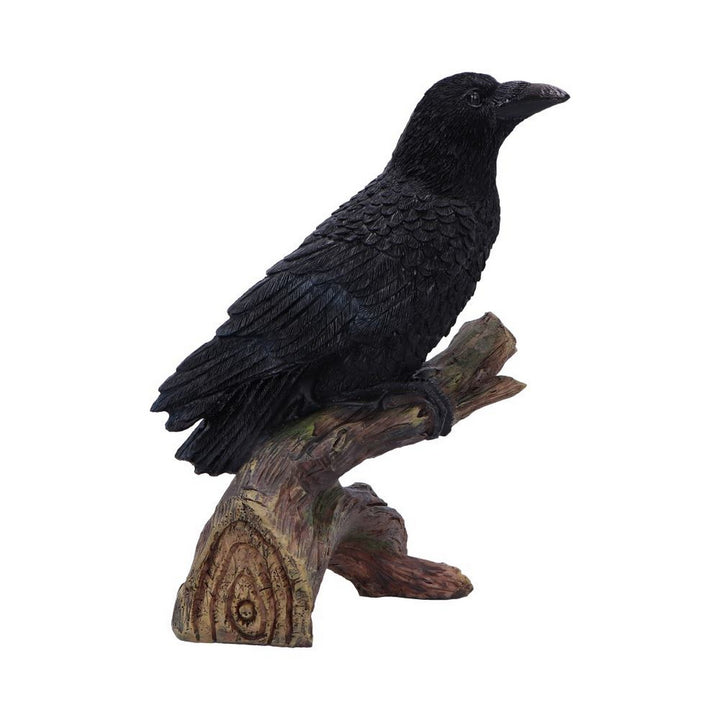 Ravens Perch Resin Figurine D7084B25