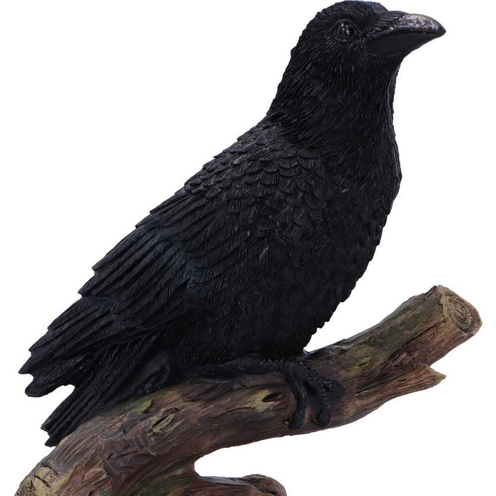 Ravens Perch Resin Figurine D7084B25