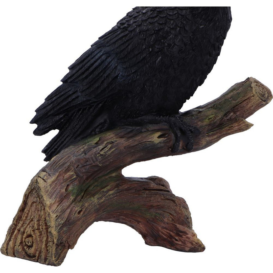 Ravens Perch Resin Figurine D7084B25