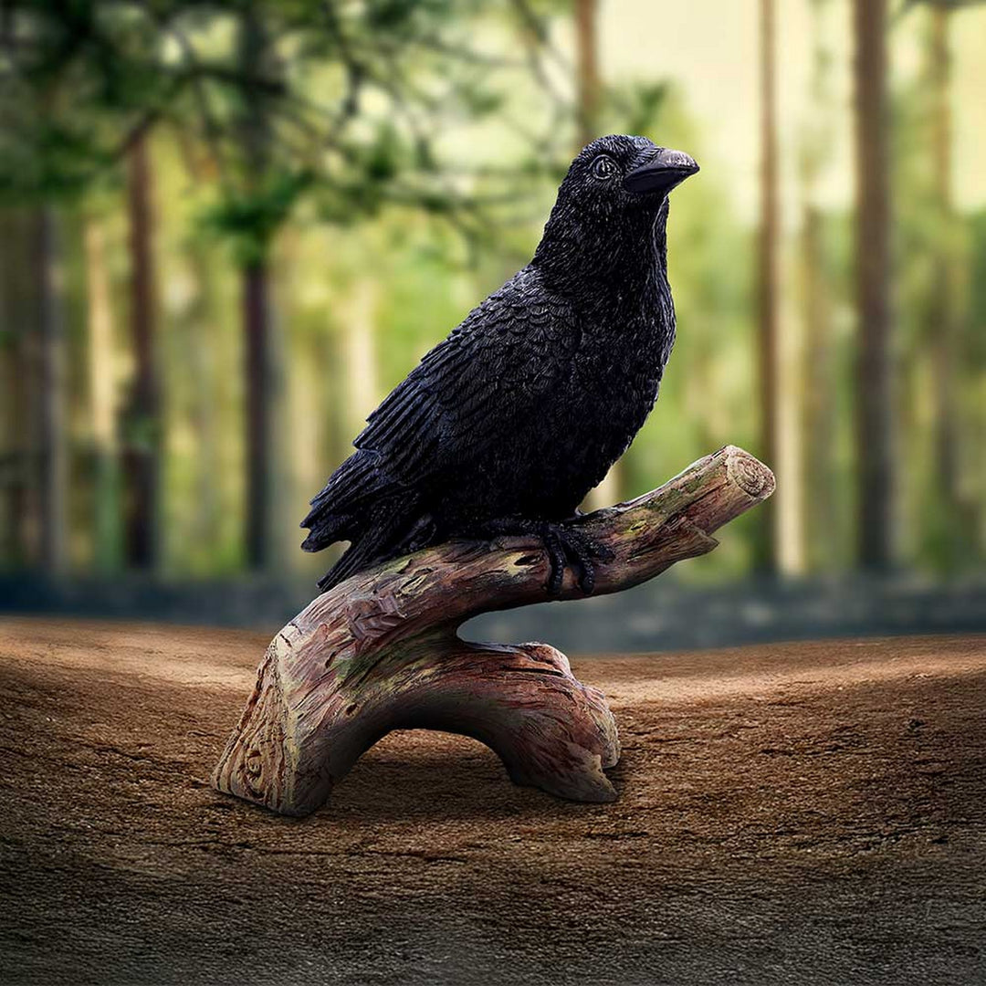 Ravens Perch Resin Figurine D7084B25