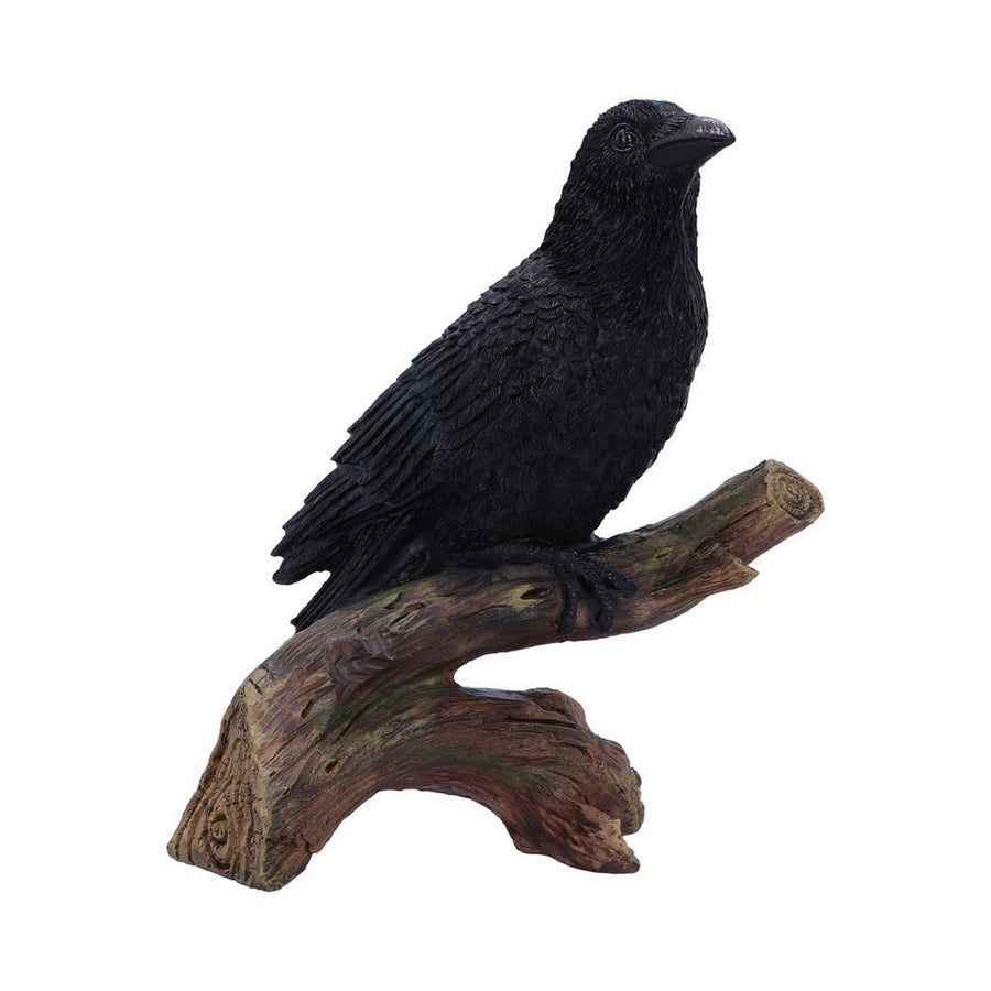 Ravens Perch Resin Figurine D7084B25