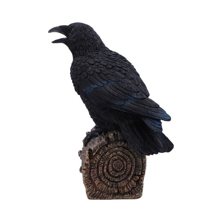 Ravens Cry With Motion Activated Sound D7085B25