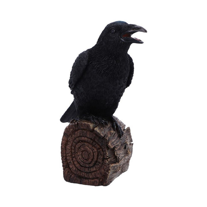 Ravens Cry With Motion Activated Sound D7085B25