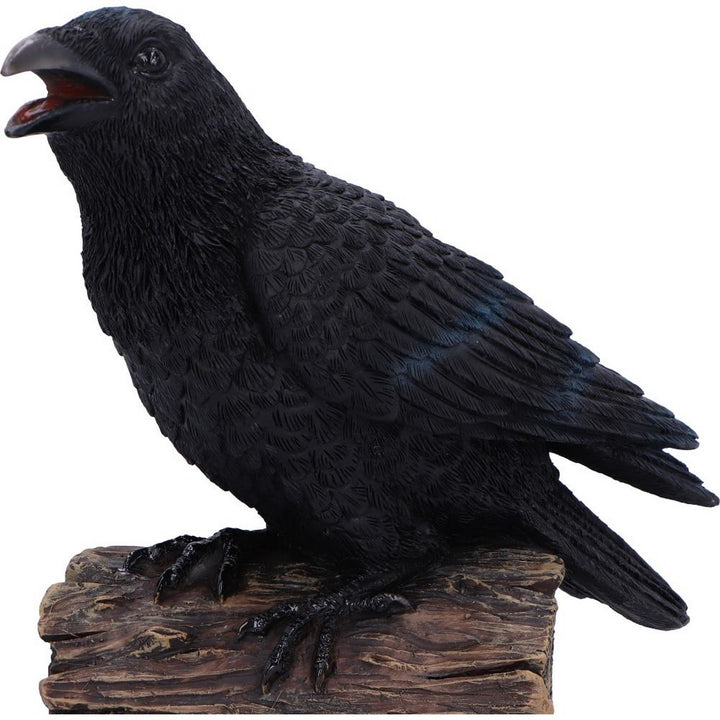Ravens Cry With Motion Activated Sound D7085B25