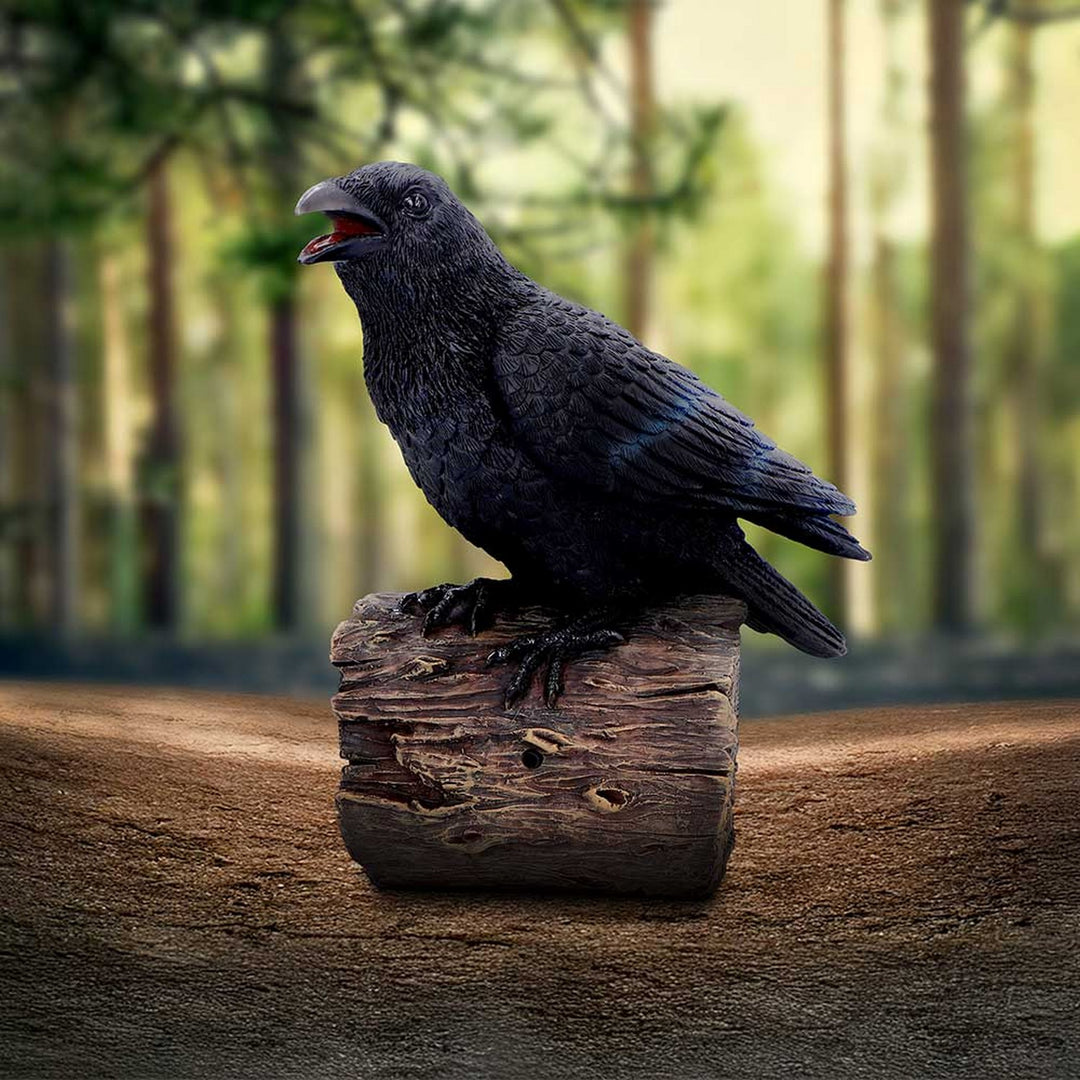 Ravens Cry With Motion Activated Sound D7085B25
